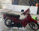 mondail sfc50 serviste 110 cc çevridi